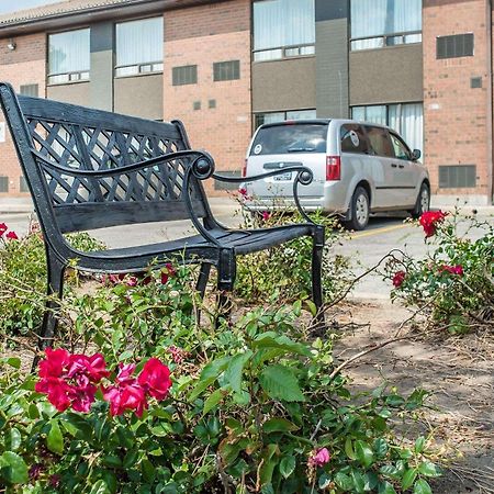 Comfort Inn Γουότερλου Εξωτερικό φωτογραφία
